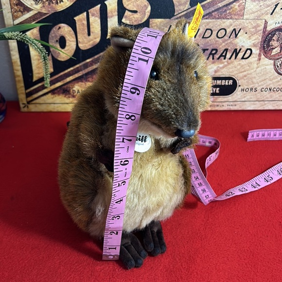 NEW CHIPMUNK COLLECTION - Picture 11 of 16